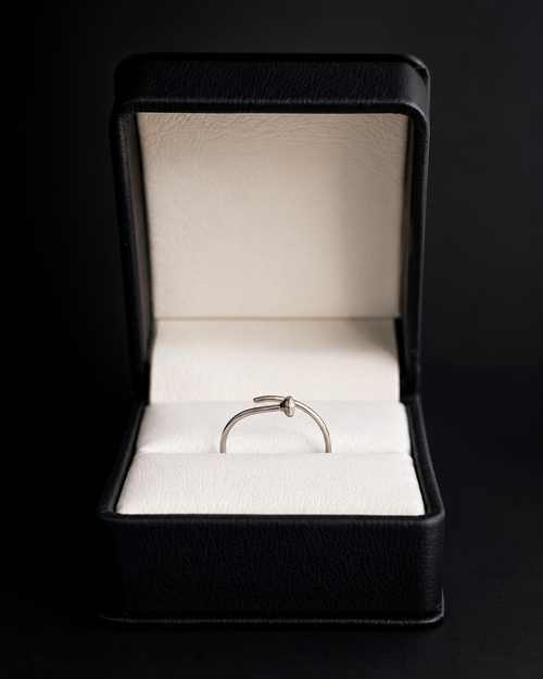 Anillo Tornillo en plata .925