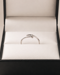 Anillo Tornillo